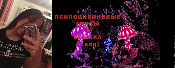 прущая мука Магас