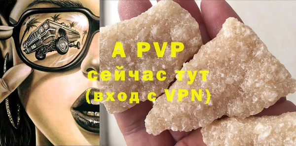 PSILOCYBIN Майский