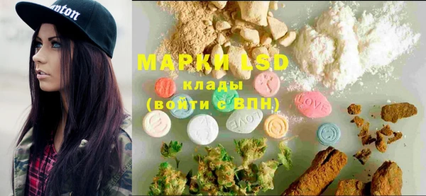 PSILOCYBIN Майский