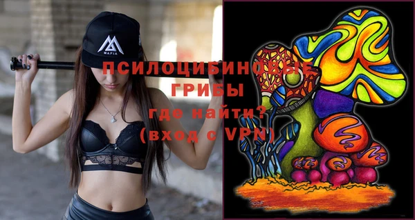 PSILOCYBIN Майский