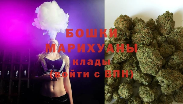 PSILOCYBIN Майский