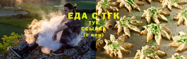 PSILOCYBIN Майский