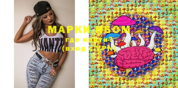 PSILOCYBIN Майский