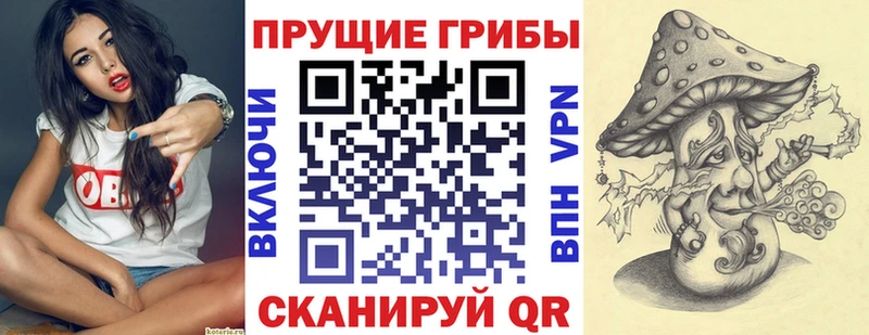 Псилоцибиновые грибы Psilocybe  где купить наркоту  гидра   Находка 